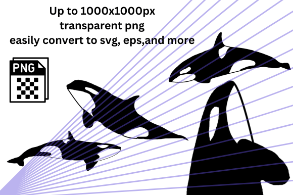 Download Killer Whale Orca Silhouette PNGs - Orca Collection