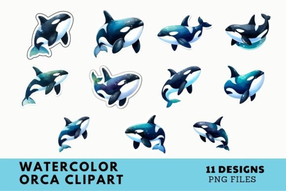Download Watercolor Orca Clipart Illustration - Orca Collection