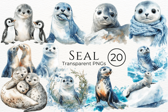 Download Seal Watercolor Cliparts - Seal Collection