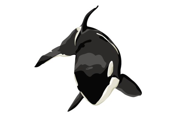 Download Crying Pretty Orca Vector - Orca Collection
