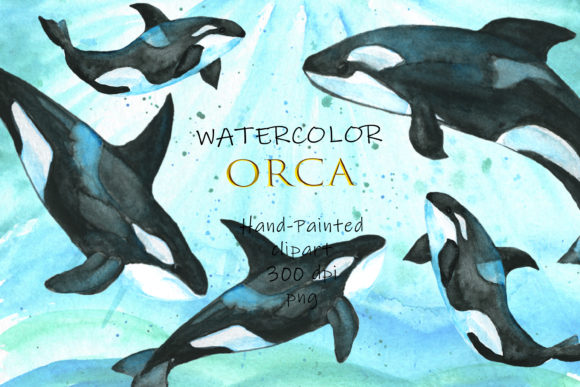 Download Watercolor Orca  Ocean Watercolor  Orca - Orca Collection