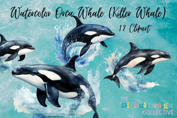Download Vintage Orca Watercolor Clipart Bundle - Orca Collection
