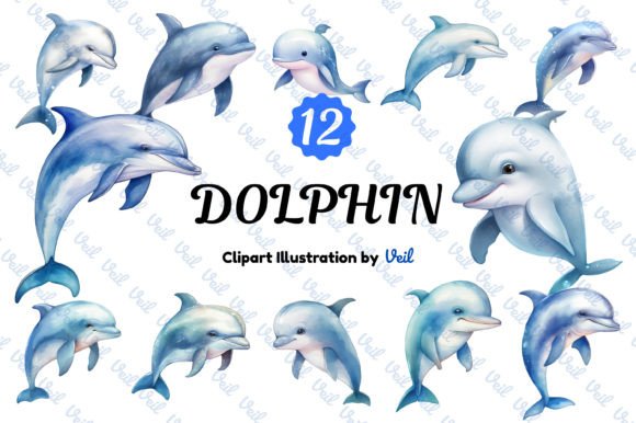 Download Dolphin Clipart Watercolor Bundle - Dolphin clipart Collection