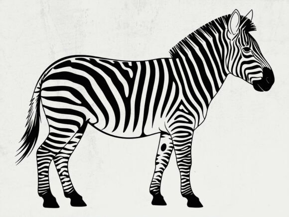 Download Zebra SVG, Hand-Drawn Animal Clipart - Zebra Collection